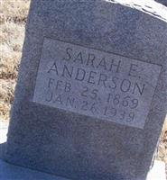 Sarah E Anderson