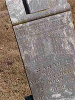 Sarah E Bradshaw
