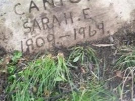 Sarah E Cantor Sarah E Cantor
