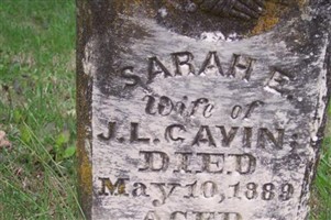 Sarah E Cavin
