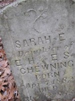 Sarah E. Chewning Sarah E. Chewning