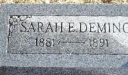 Sarah E. Deming Sarah E. Deming