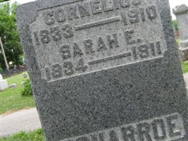 Sarah E. Falk Conarroe Sarah E. Falk Conarroe