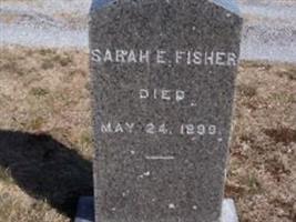Sarah E Fisher