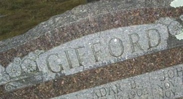 Sarah E Gifford