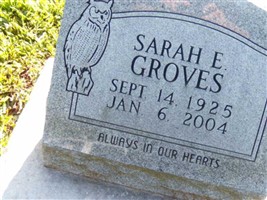 Sarah E. Groves Sarah E. Groves