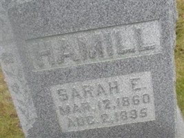 Sarah E Hamill