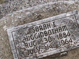 Sarah E. Higginbotham Sarah E. Higginbotham