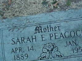 Sarah E Peacock