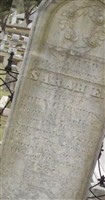 Sarah E Potts