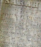 Sarah E Potts