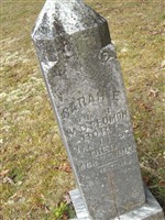 Sarah E Redmon