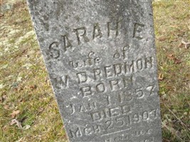 Sarah E Redmon
