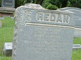 Sarah E Regan