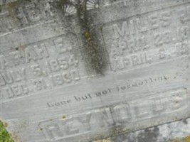 Sarah E Reynolds