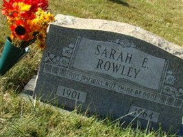 Sarah E Rowley Sarah E Rowley