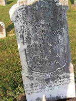 Sarah E Schaefer