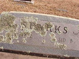 Sarah E Sparks Sarah E Sparks