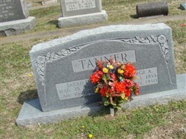 Sarah E. Tanner Sarah E. Tanner