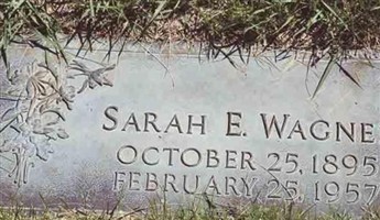 Sarah E Wagner Sarah E Wagner