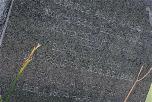 Sarah E Whittemore Blanchard