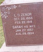 Sarah E Zenor