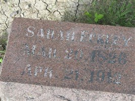 Sarah Eckley