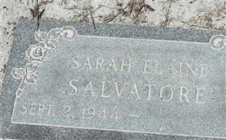 Sarah Elaine Salvatore Sarah Elaine Salvatore