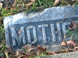 Sarah Electa Renshaw Pattillo