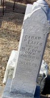 Sarah Eliza Dew