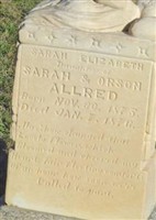 Sarah Elizabeth Allred