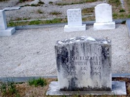 Sarah Elizabeth Carruth Wall Sarah Elizabeth Carruth Wall