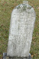 Sarah Elizabeth Danner Hopper Sarah Elizabeth Danner Hopper