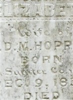 Sarah Elizabeth Danner Hopper Sarah Elizabeth Danner Hopper