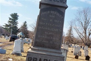 Sarah Elizabeth Dorman Bradley Sarah Elizabeth Dorman Bradley