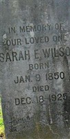Sarah Elizabeth Etheridge Wilson Sarah Elizabeth Etheridge Wilson