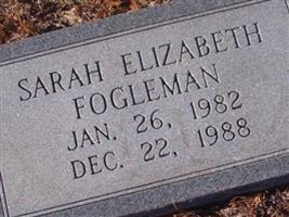 Sarah Elizabeth Fogleman