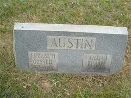 Sarah Elizabeth Gosnell Austin