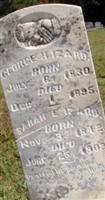 Sarah Ann Elizabeth Moran Izard