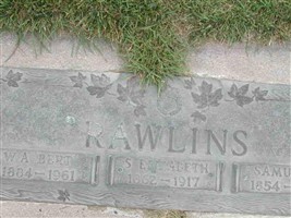 Sarah Elizabeth Van Orden Rawlins