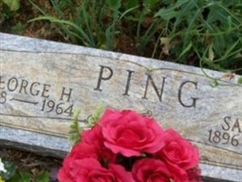 SARAH ELIZABETH PRATHER PING SARAH ELIZABETH PRATHER PING