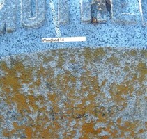 Sarah Elizabeth Rollins Rollins Sarah Elizabeth Rollins Rollins