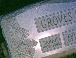 Sarah Elizabeth Shrider Groves Sarah Elizabeth Shrider Groves