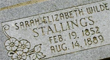 Sarah Elizabeth Wilde Stallings