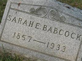 Sarah Ellen Agan Babcock