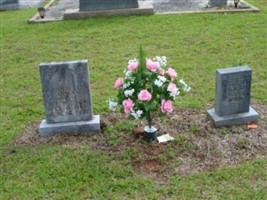 Sarah Ellen Carman Hudson