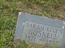 Sarah Ellen Gosnell Sarah Ellen Gosnell