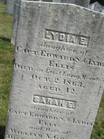 Sarah Ellis Goslee