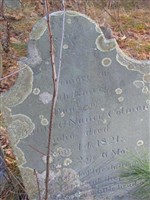 Sarah Emery Colman Sarah Emery Colman