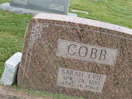Sarah Eva Cobb